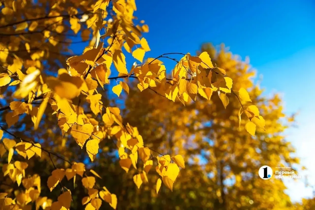 Завтра на Южном Урале сохранится аномальное тепло☀️