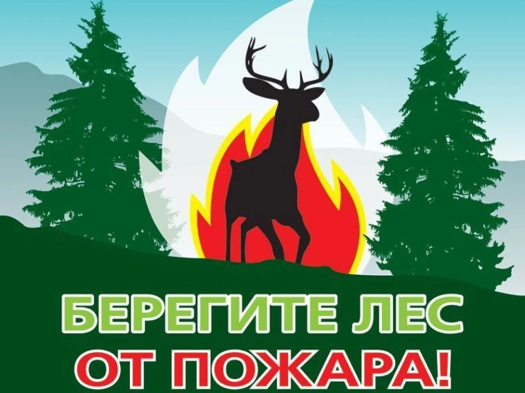 🍂 ЛЕСНЫЕ ПОЖАРЫ ОСЕНЬЮ: КАК НЕ СТАТЬ ВИНОВНИКОМ