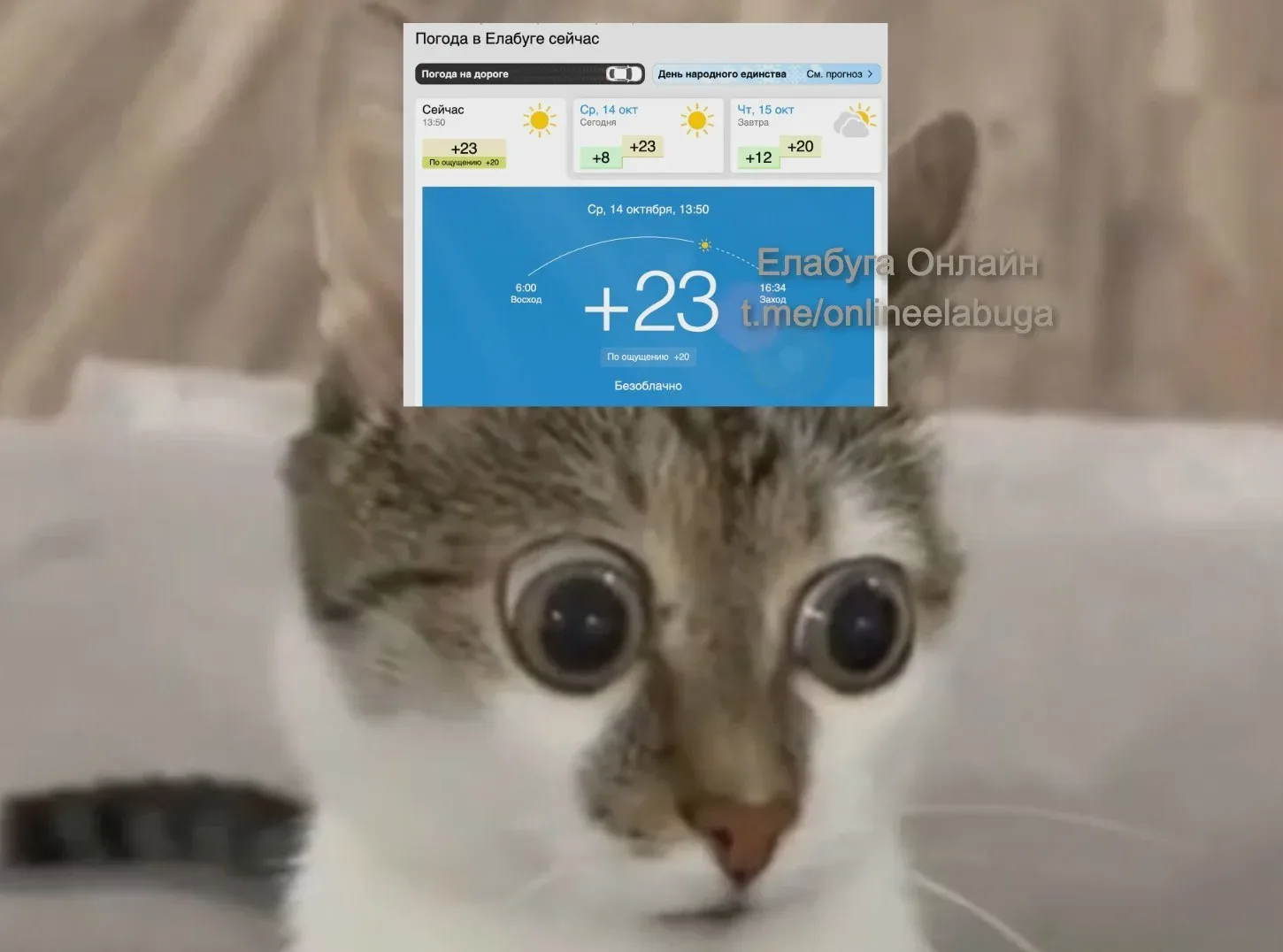 В Елабуге +23°C — все окна распахнули, улицу обогревают? 😆