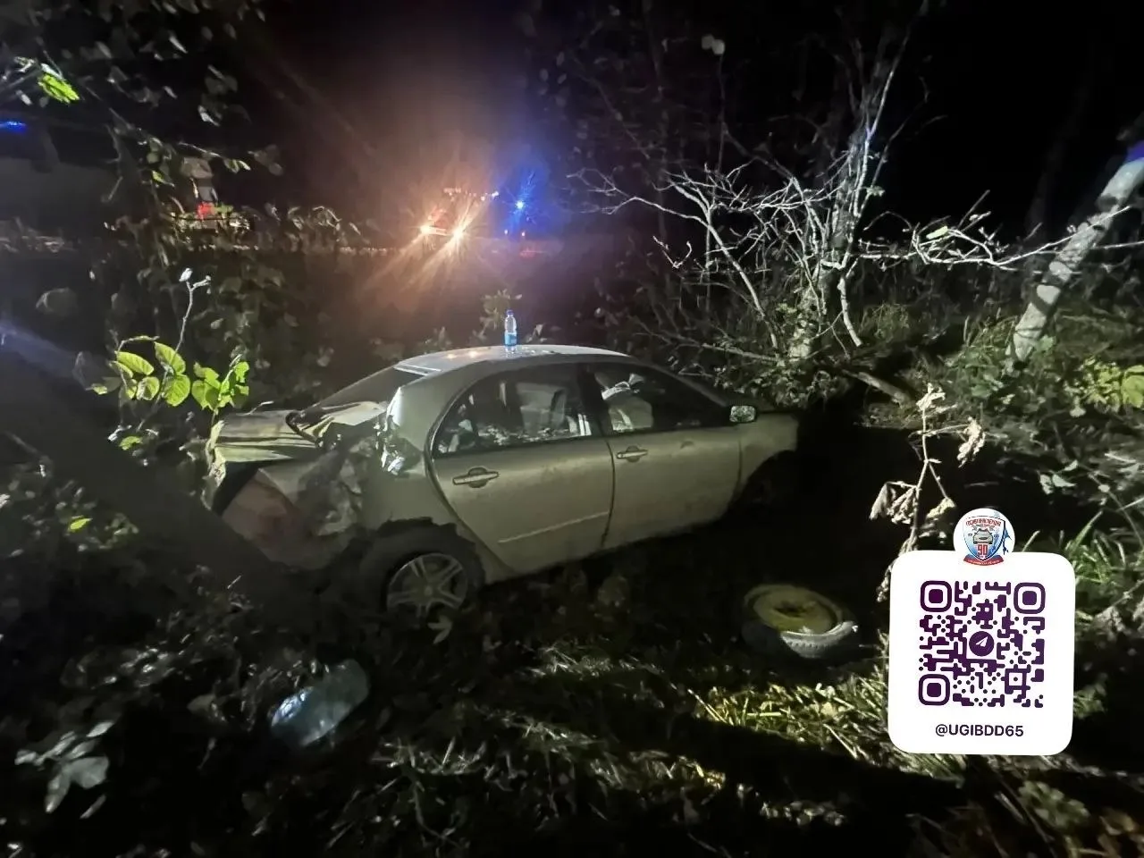 Пенсионер напился и на Toyota Corolla улетел в кювет в Корсаковском районе