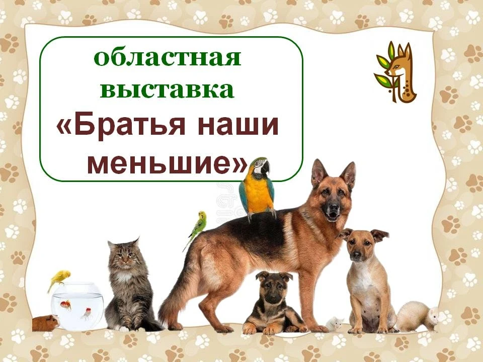 🐾 «Братья наши меньшие» —конкурс, который нельзя пропустить! 🐾