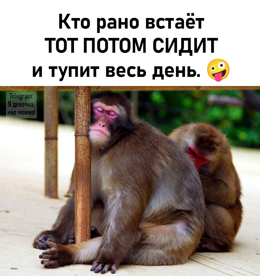 Ты что, не видишь — мы с сыном сериал смотрим?!. Свекровь швырнула в меня пульт от теле...