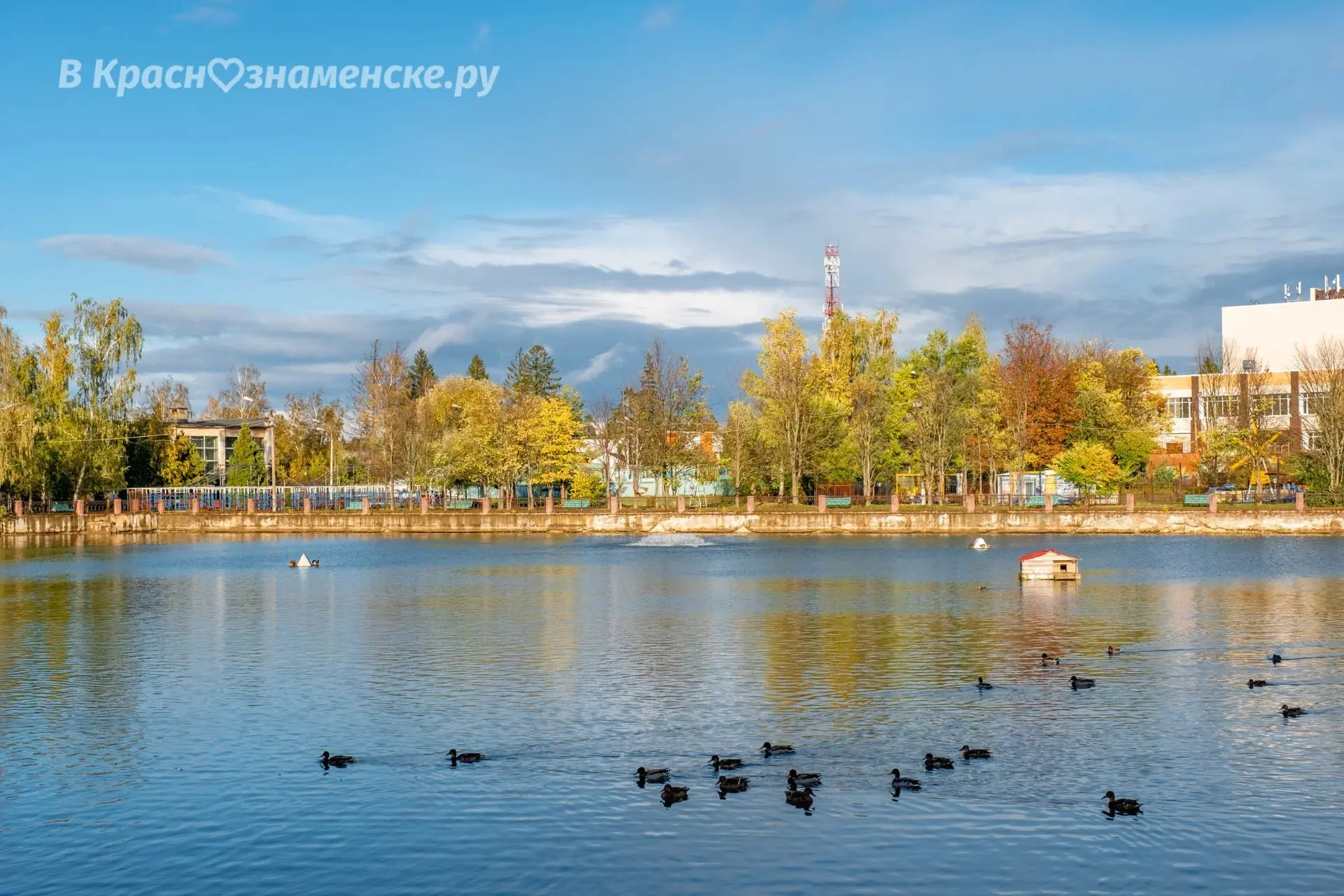 📅 Доброе утро, Краснознаменск!