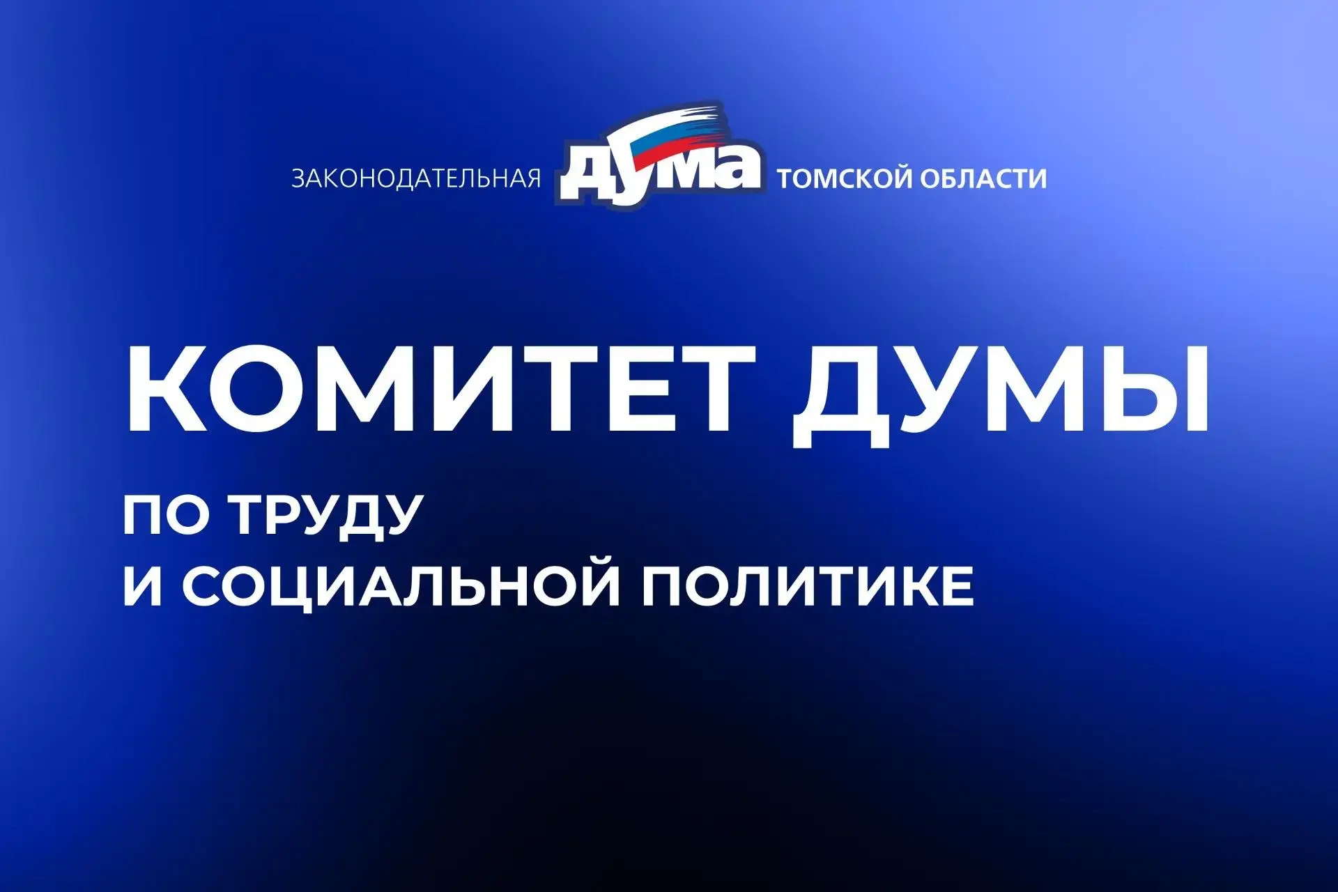 Избран в состав комитета по труду и социальной политике.