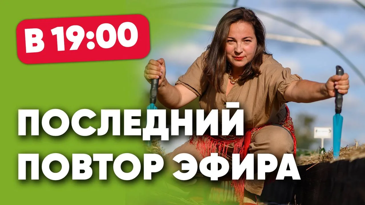 Наш питомник за 11 лет пережил и пандемию, и блокировки и... всего уже не упомнишь.