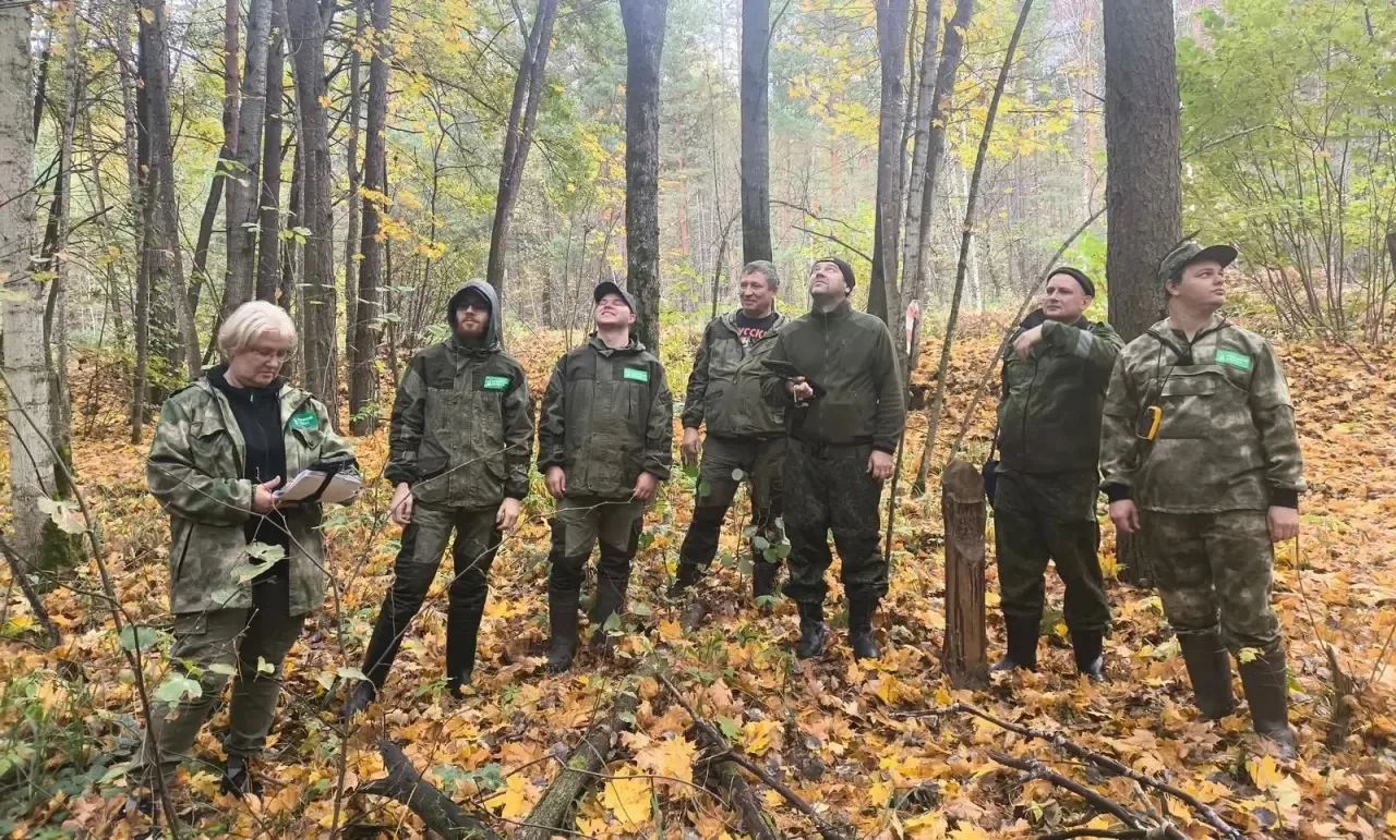 Коллективная тренировка Рязанского филиала и Воронежлеспроекта прошла в Республике Морд...