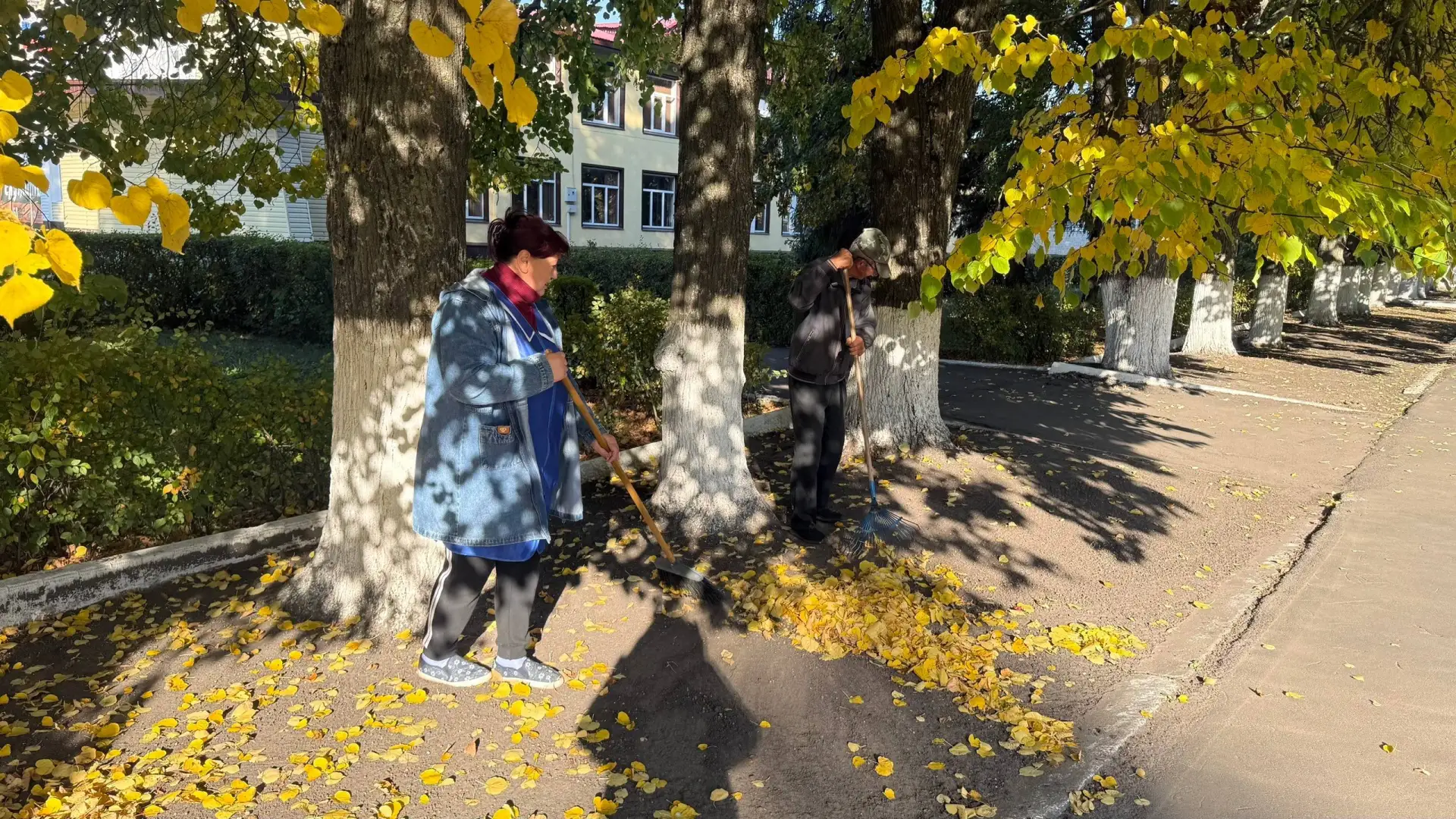 🍂 В Степнянском сельском поселении начали осеннюю уборку общественных территорий.