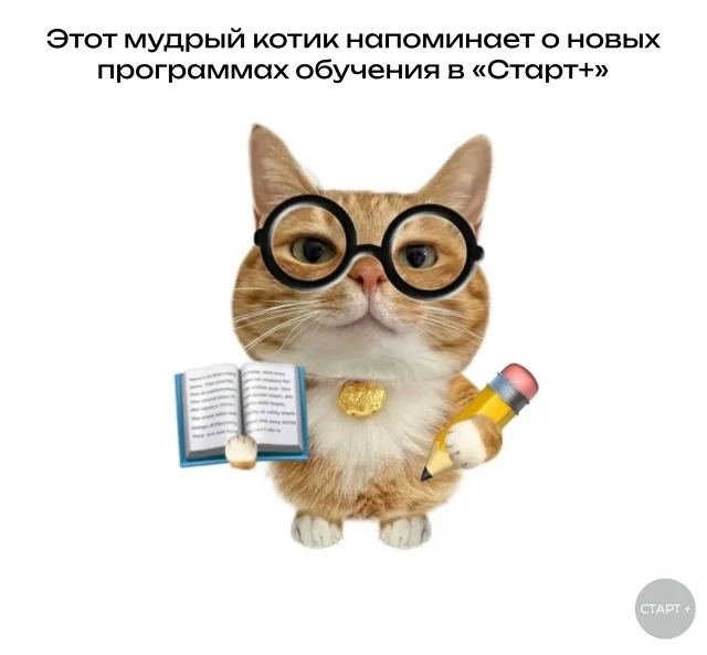 🔥 В «Старт+» проходит обучение для учащихся 10-11 классов. У ребят появилась уникальна...