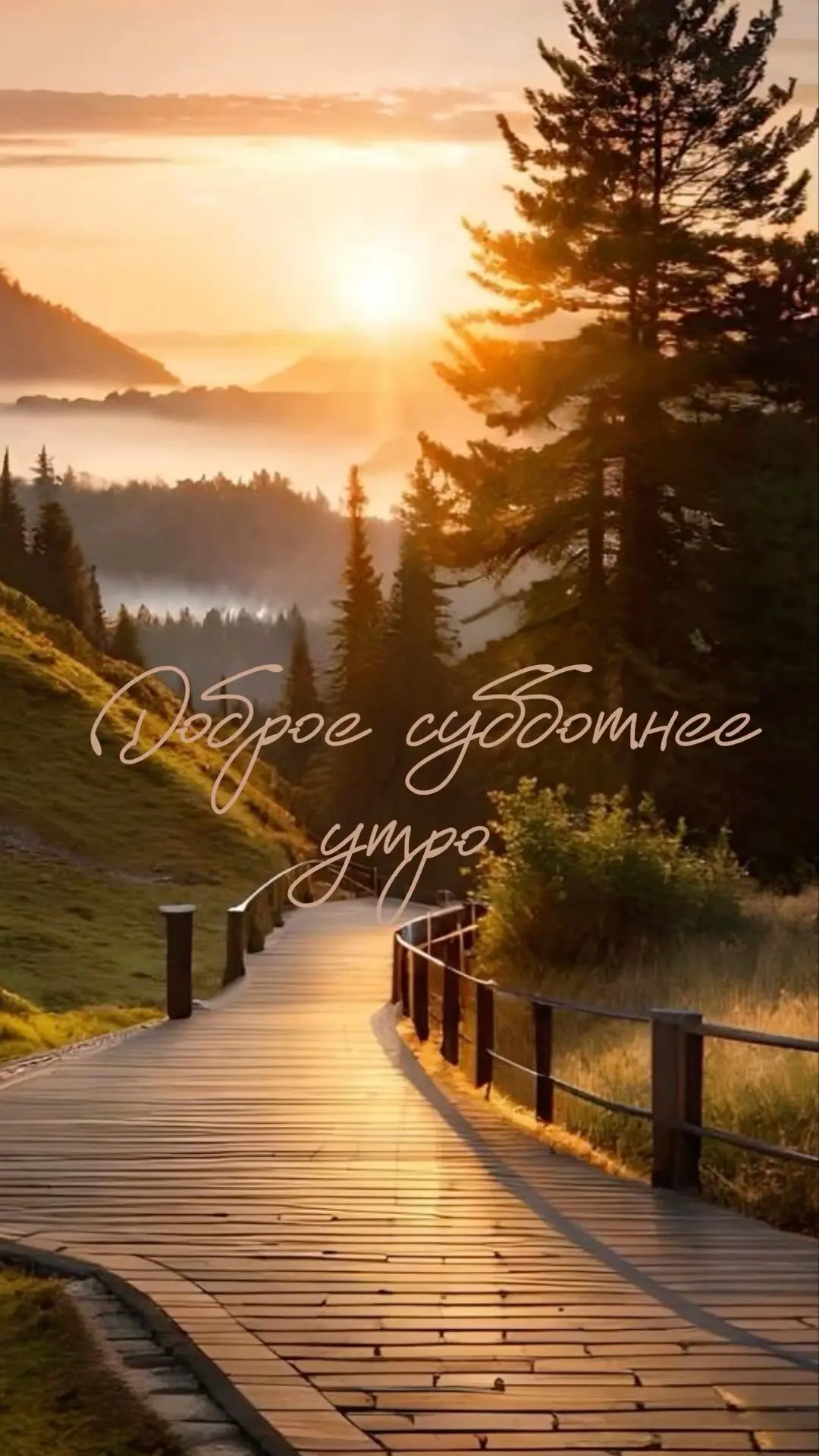 С добрым утром!❤️