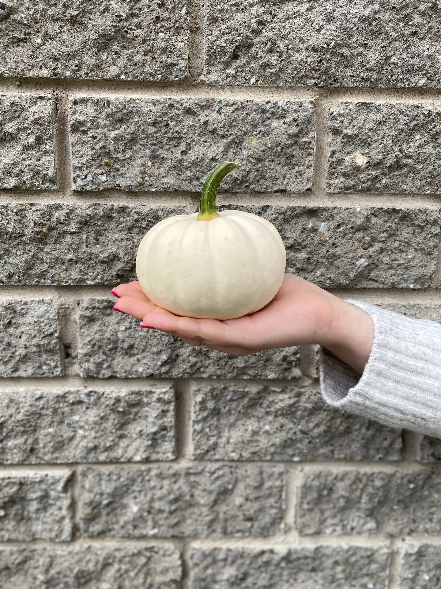 Белые мини тыквы 🎃