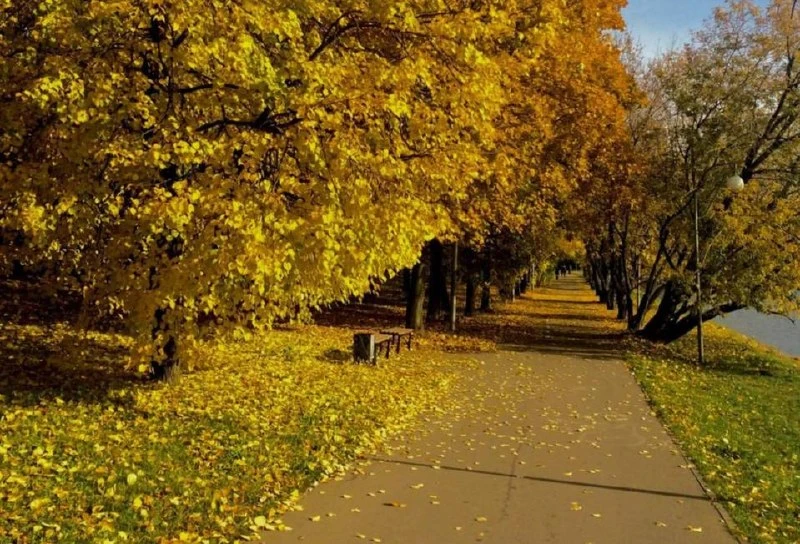 🍂 Парк Шкулёва — любимое место для прогулок в Текстильщиках