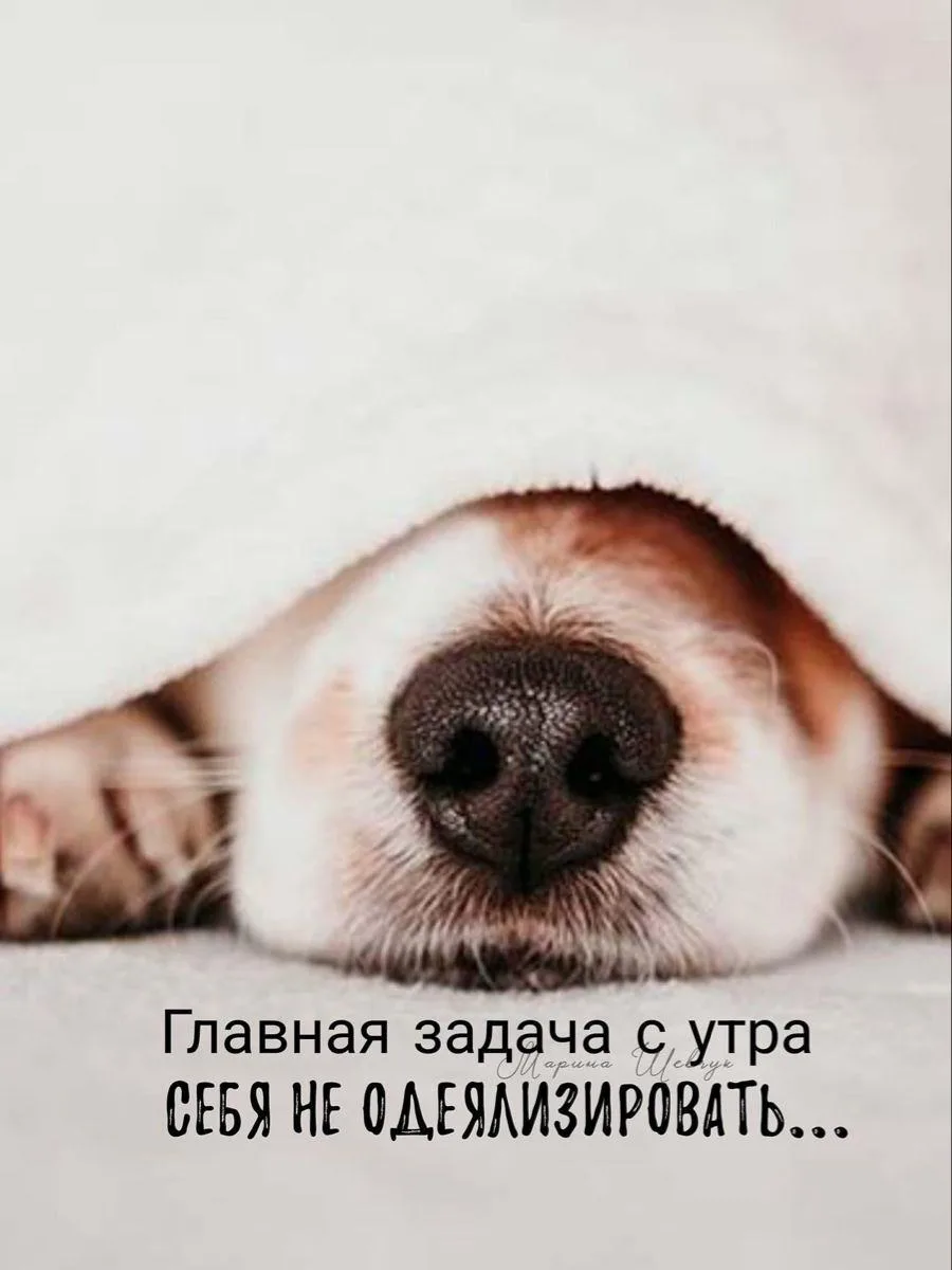 А с утра понедельника эта задача вдвойне труднее, поэтому всем желаем сил на новую рабо...