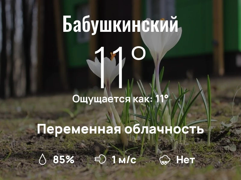 Что с погодой в Бабушкинском?