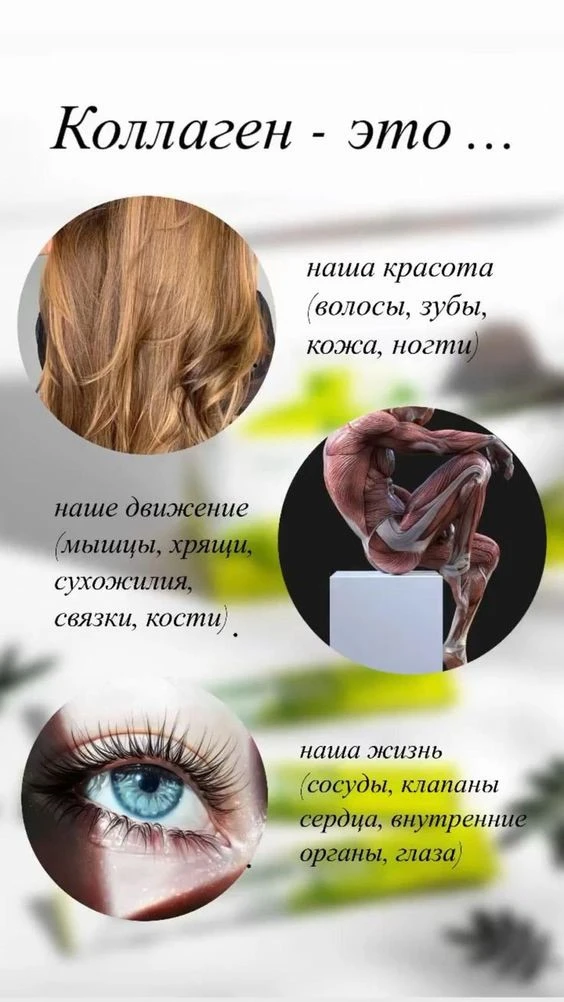 💚 КОЛЛАГЕН — ЭТО НЕ ТОЛЬКО ПРО КРАСОТУ, НО И ПРО ПОДДЕРЖКУ ВСЕГО ОРГАНИЗМА! 🧬✨