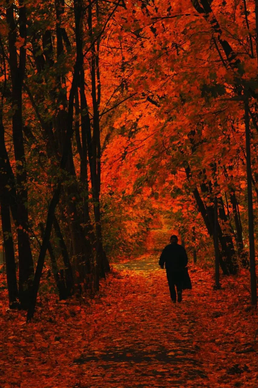 🍂Большая Оленья улица