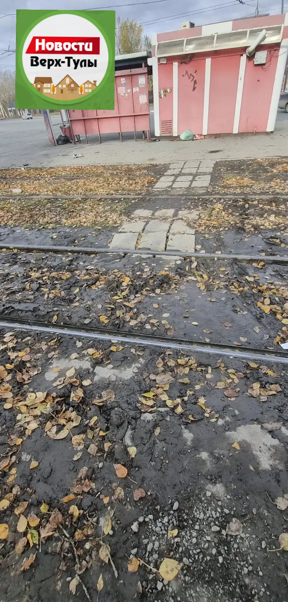 🚌 Депутат Верх-Тулинского сельсовета Валентин Гончаров обратился к руководителям Новос...