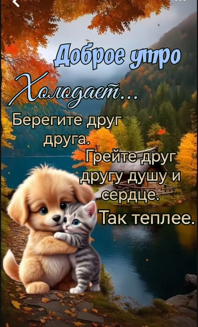 С добрым утром, друзья!☀️