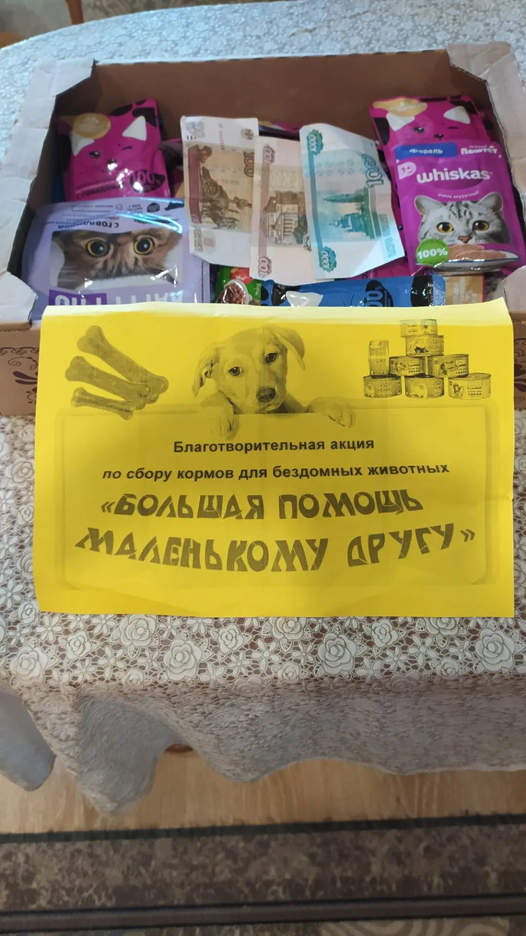 Сегодня у нас  опять были гости ! Это представители Б.Шемякинской  школы. Они так же , ...