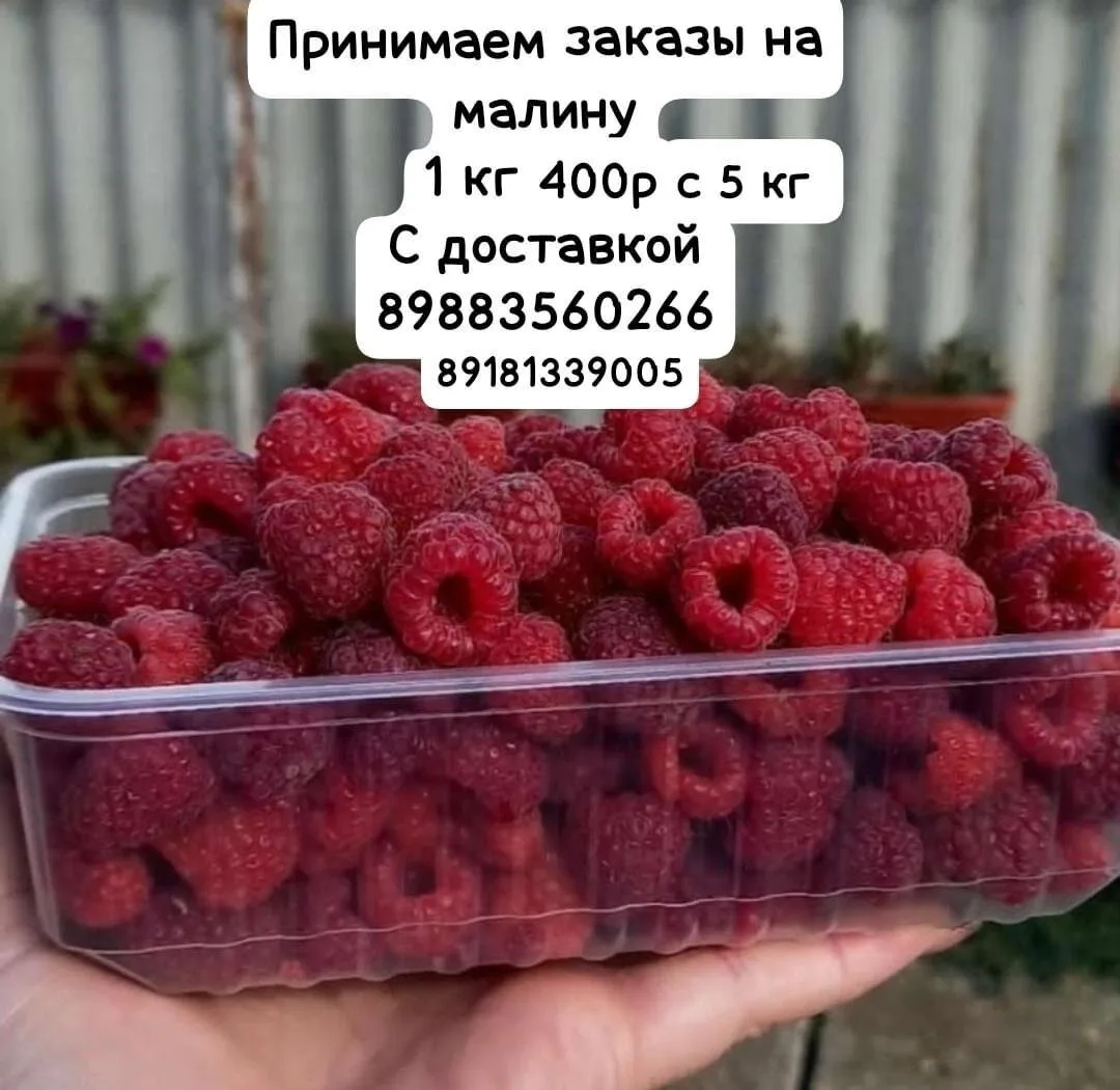 Принимаем заказы на малину 1 кг — 400р,