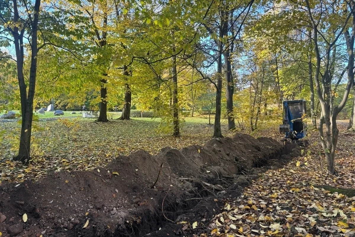💡 В парке «Ямка» в Петрозаводске станет светлее