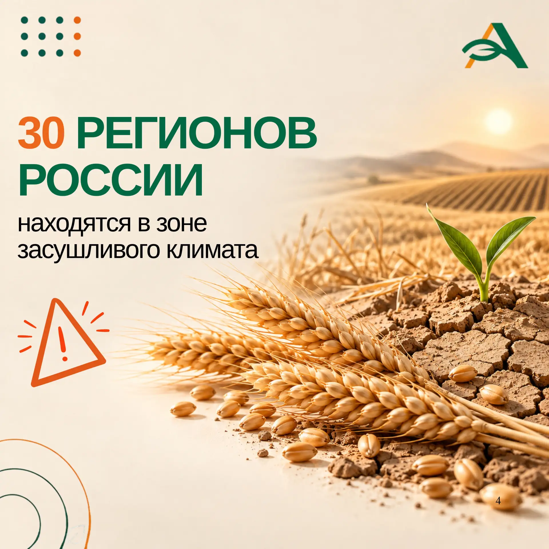 🌾 Свыше 70% агропродукции РФ производится в засушливом климате