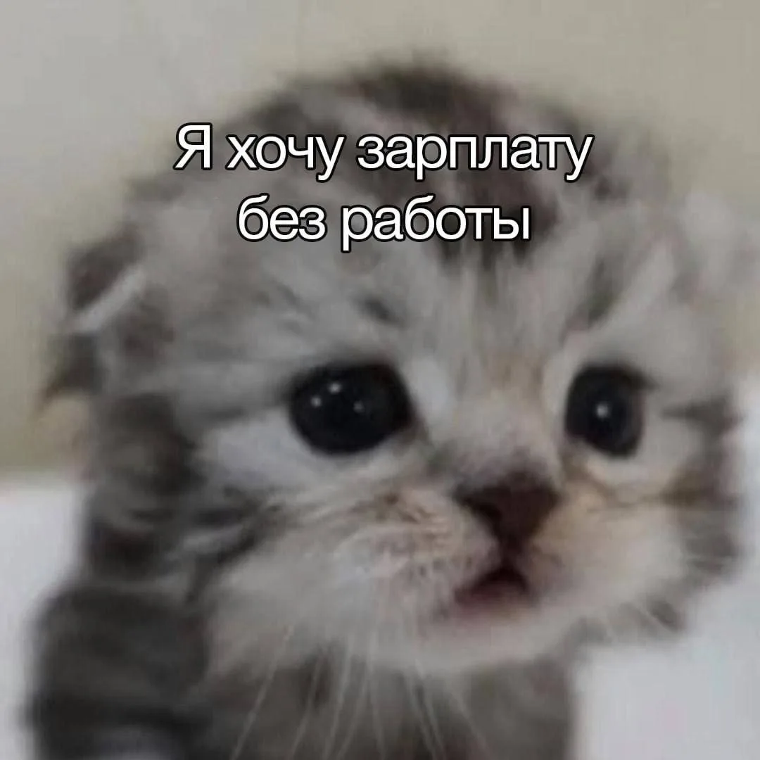 😭 и мы....