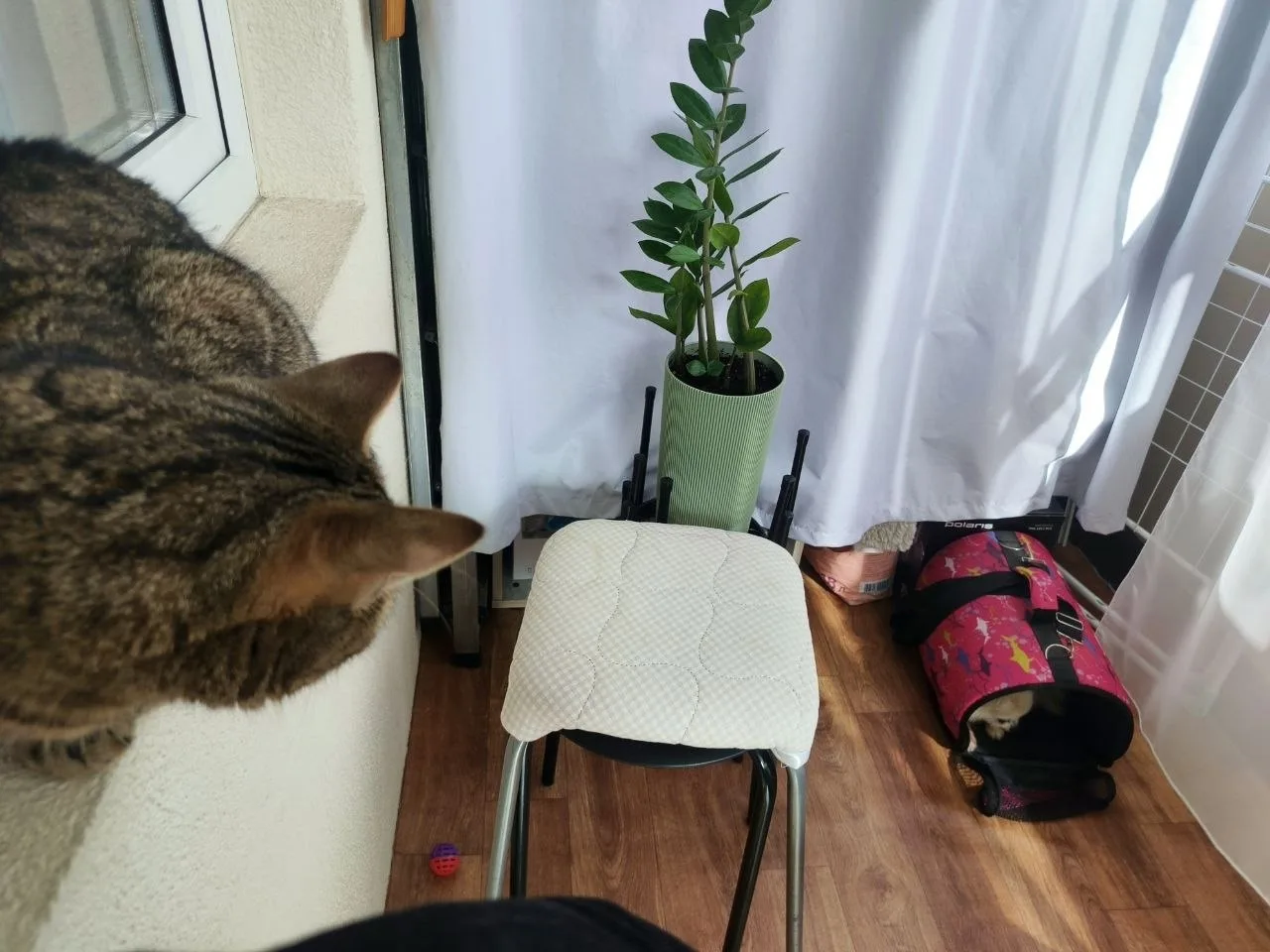 #из_нового_дома
