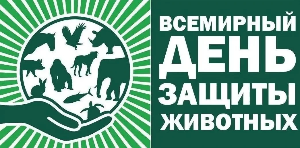 🐻‍❄🐰🐷🐱🦊🐶🐯🐼🐷🐵