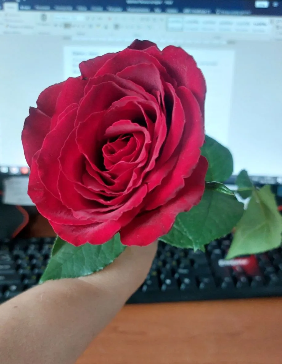 Очередная приятность❤️