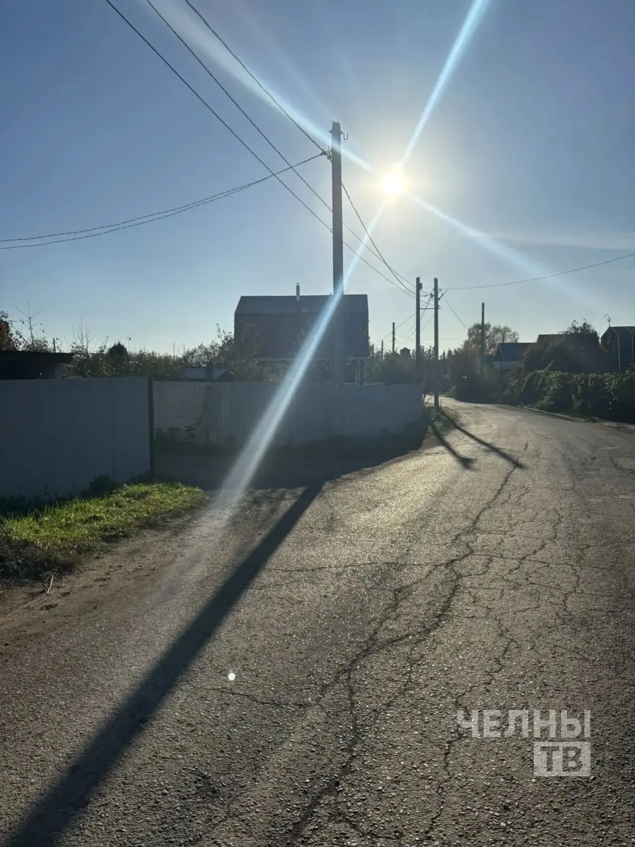 ❗️🐻Дачники садового общества «Ивушка» обеспокоены сообщениями о медведе