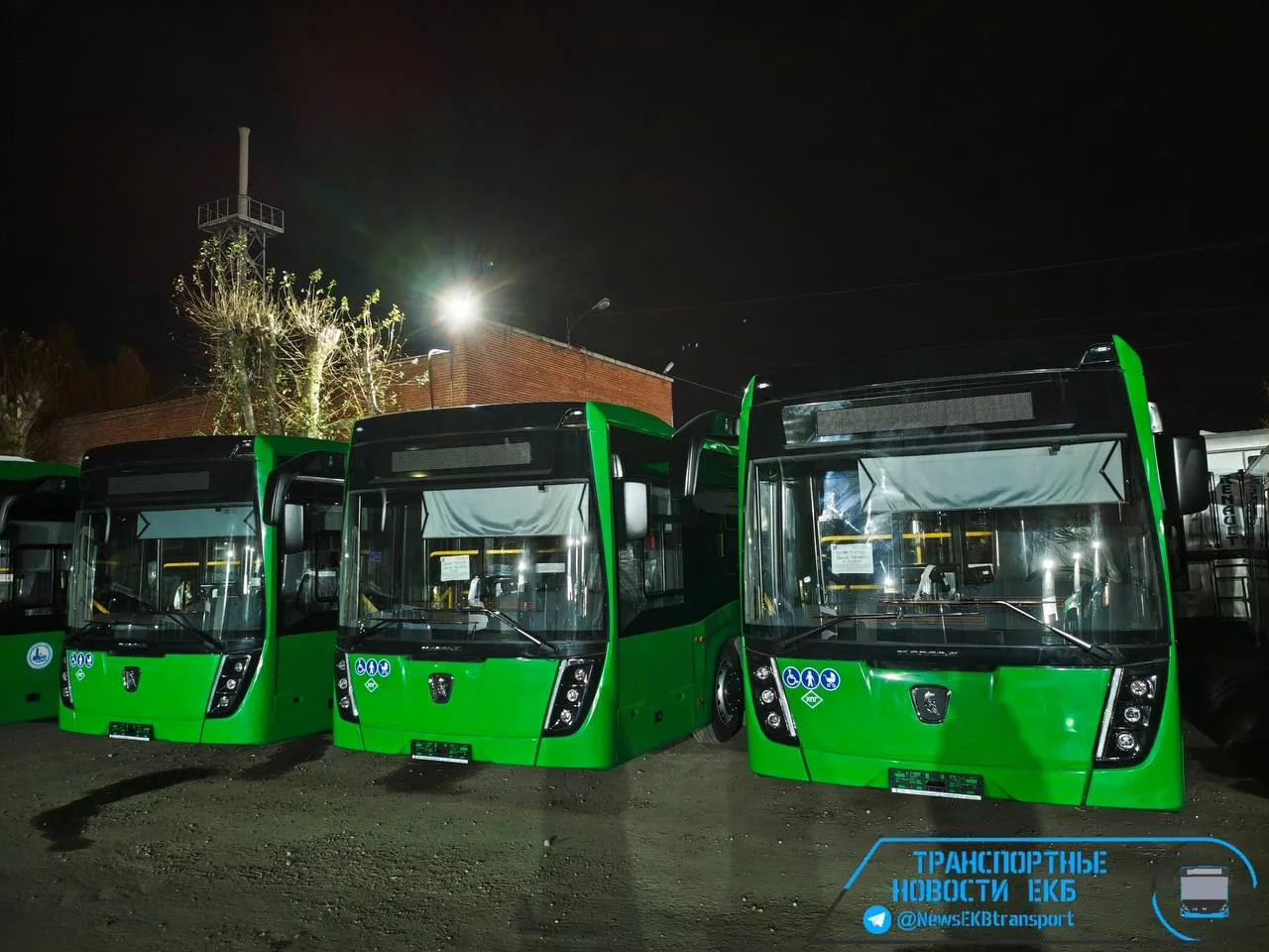 Новые большие автобусы привезли в Екатеринбург.