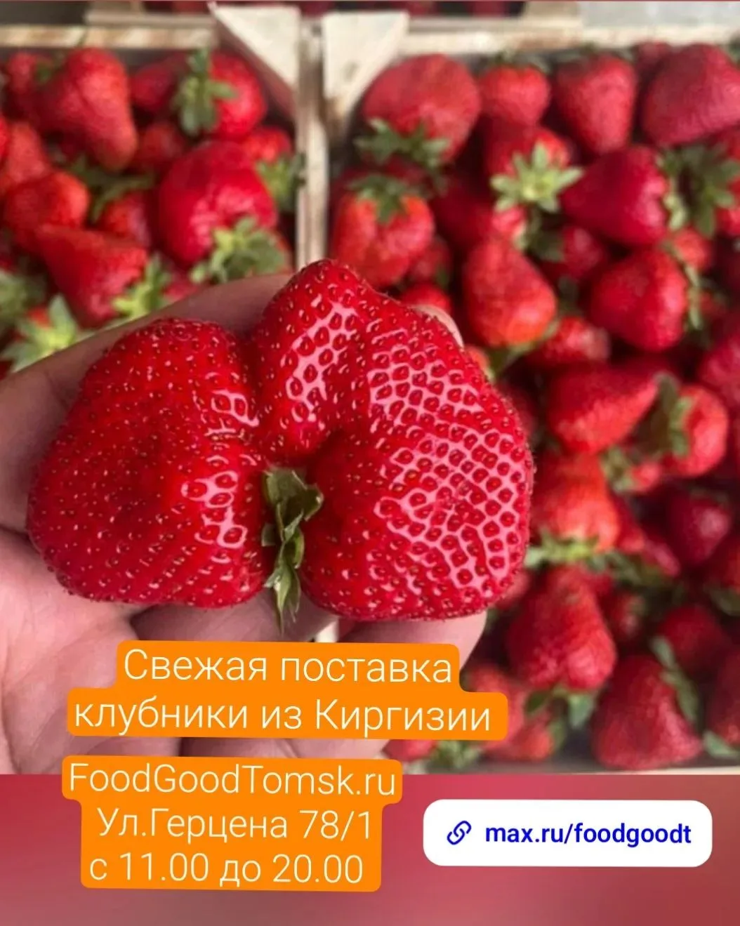 🍓 Свежая поставка клубники Альбион отличный, сладкий в наличии, цена супер!