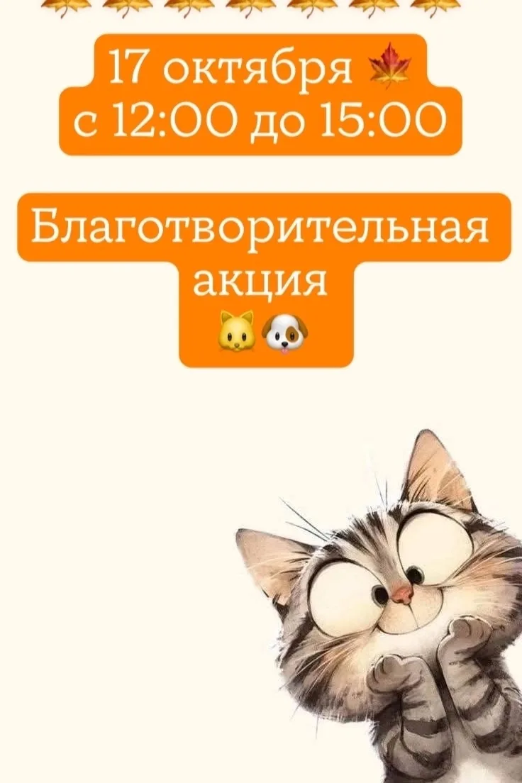 17 октября (суббота ❗) с 12:00 до 15:00 ч. на плошади  ДК "Нефтяник" состоится ежемесяч...