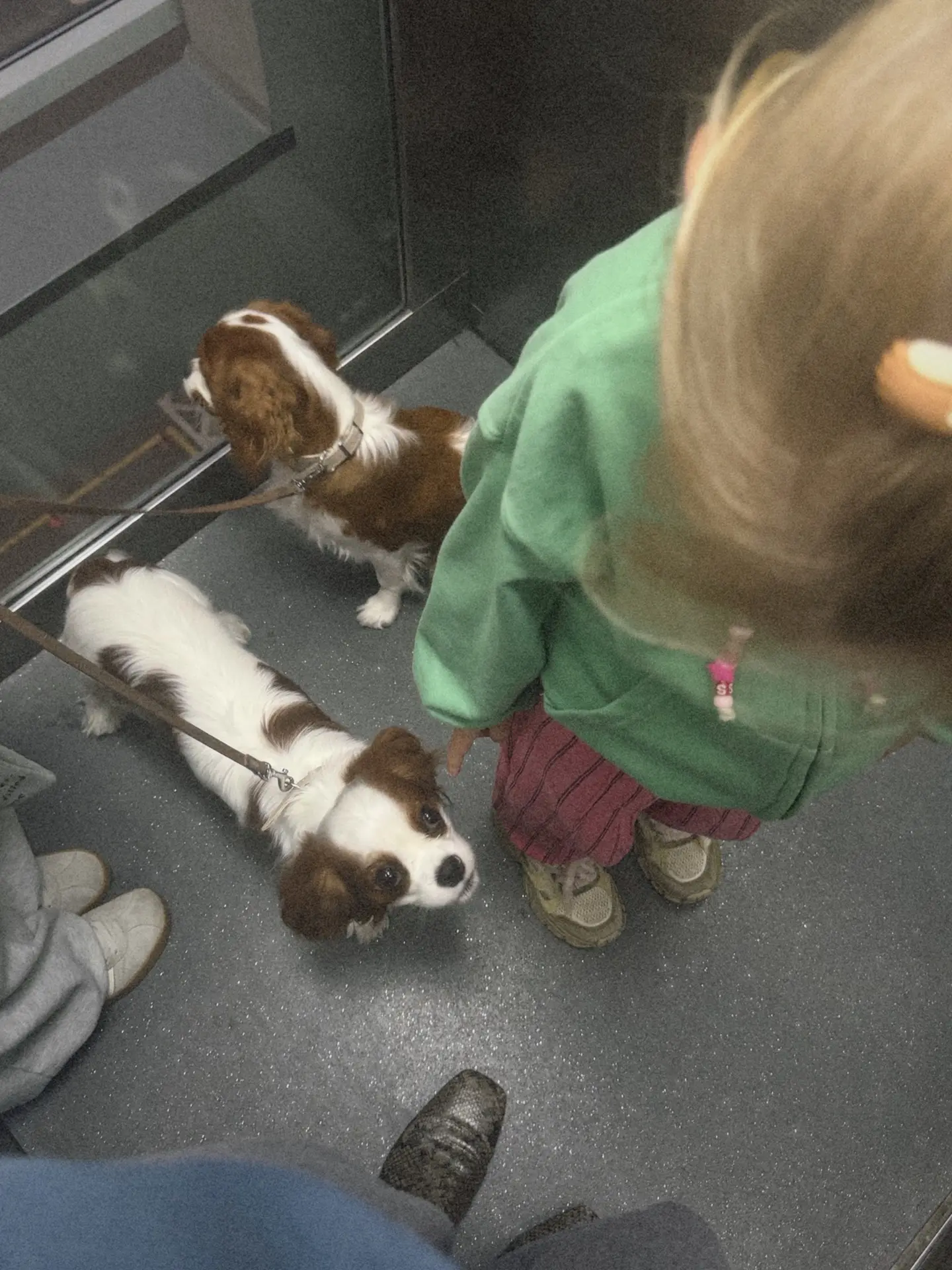 Доброе утро 🐶♥️
