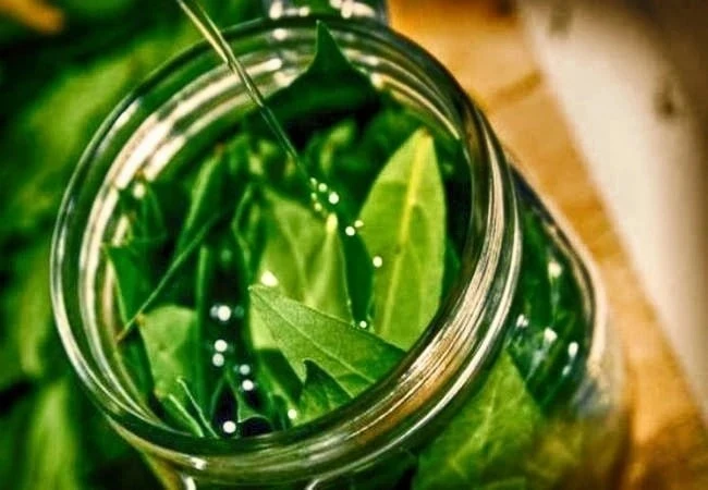 🌿 Освежите кожу с помощью лаврового листа!