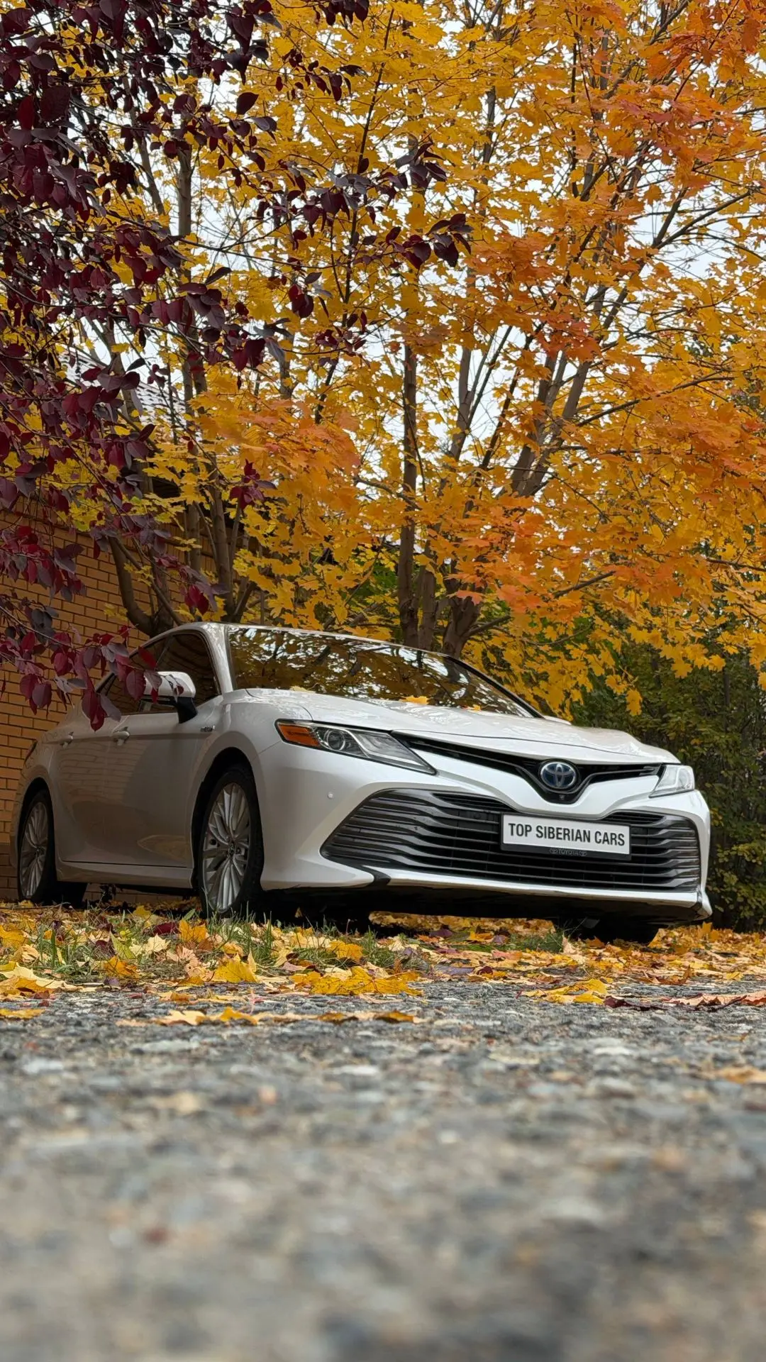 СТАРТ АКЦИИ «TOYOTA CAMRY»🔥