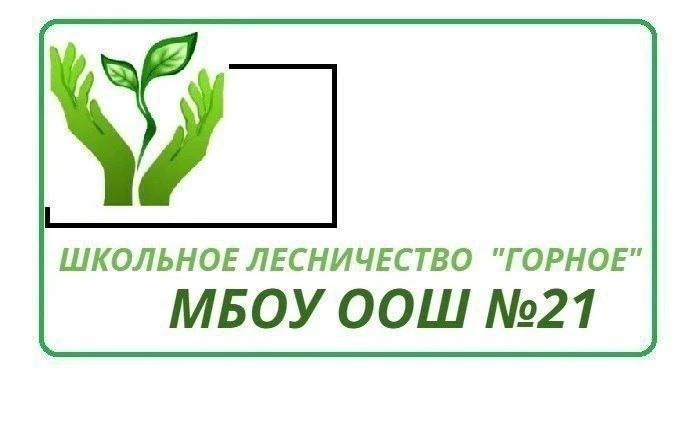 Сохраним и приумножим богатство природы🌳