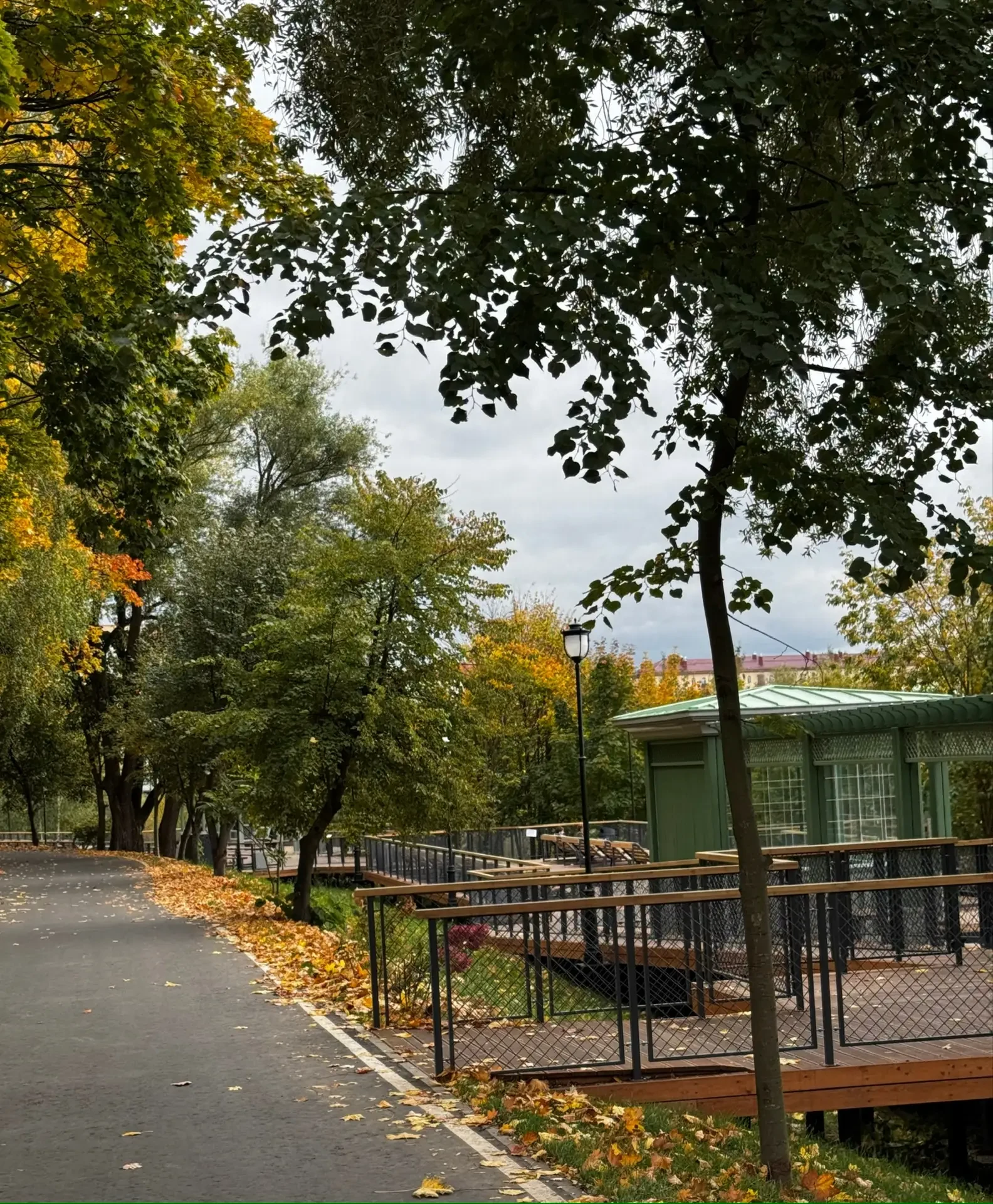 🍁СРЕДА🍁