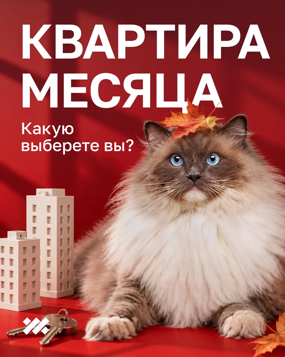 Семь квартир, а выбрать нужно одну. 🏘