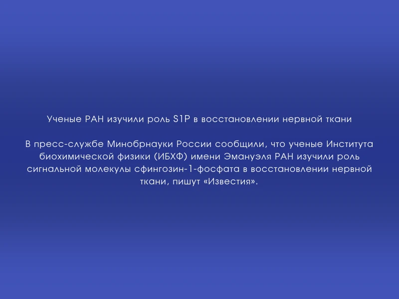 ↗️ Ученые РАН изучили роль S1P в восстановлении нервной ткани