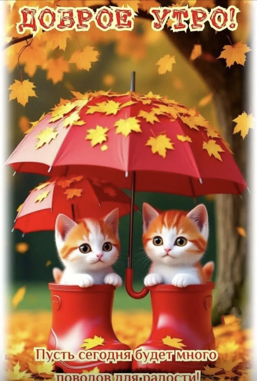 🍂🍂🍂