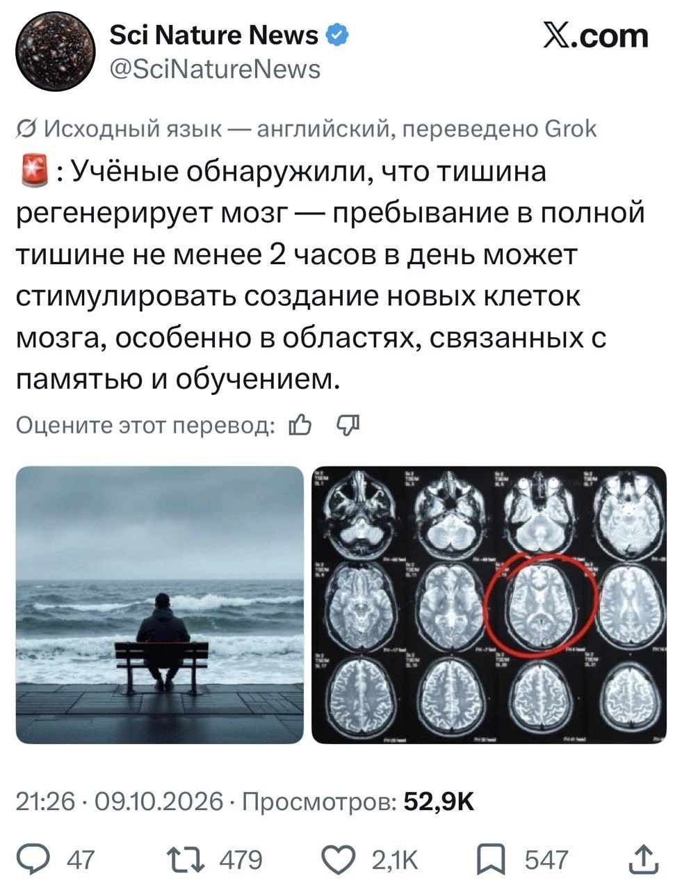 Тишина регенерирует мозг — пребывание в полной тишине не менее 2 часов в день стимулиру...