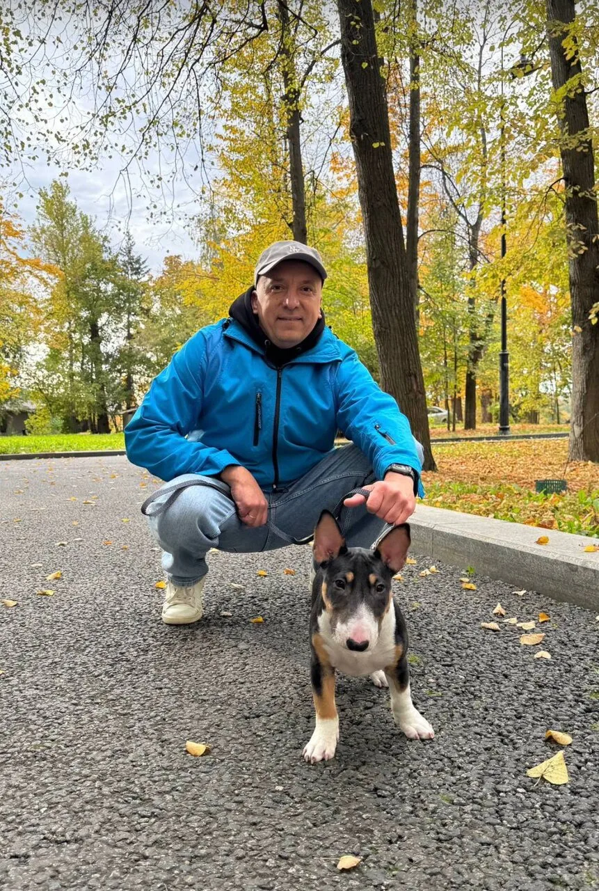 Милоты Вам в ленту. Андрей Ломанов и мини-бультерьер Юна на прогулке.