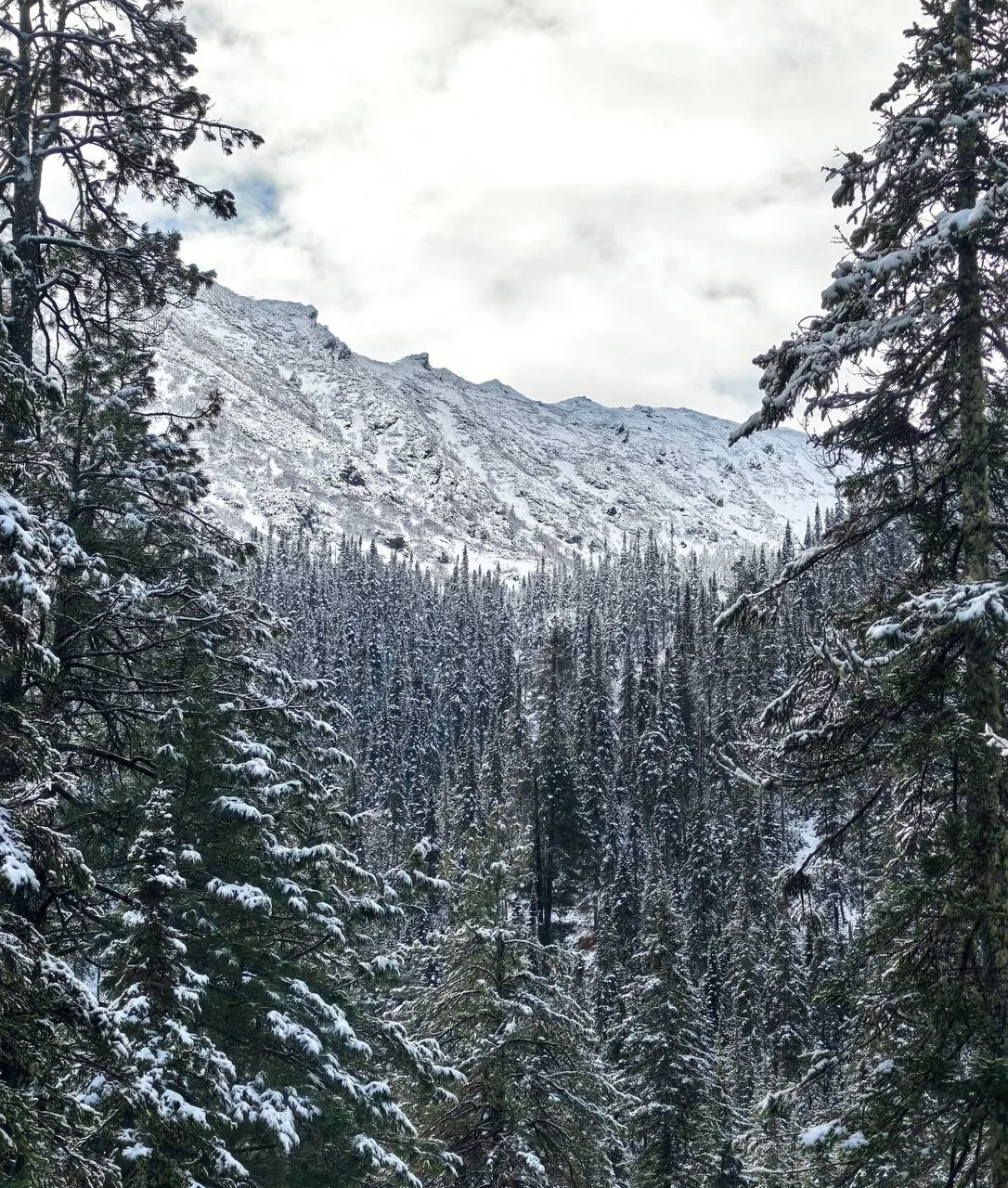 🗻 А вот такая зимняя сказка на Мамае.