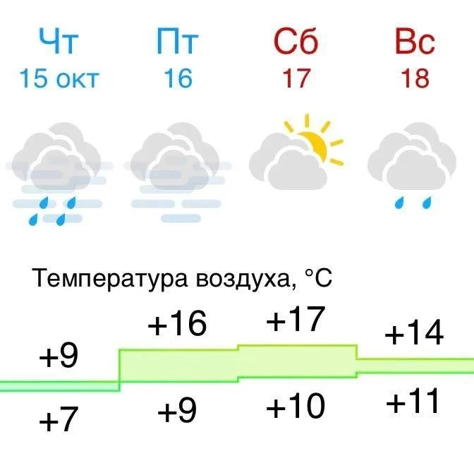😎 «Бабье лето» вернётся в Москву завтра: потеплеет до +16…+18°С
