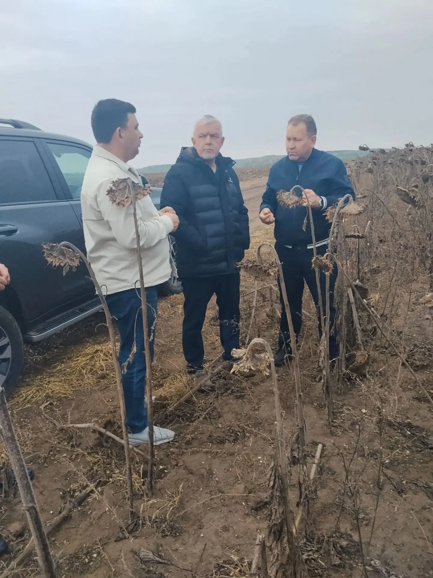 🌾 Район башлыгы Алмаз Хисаметдинов Арча сөт комбинатында булып, аның эшчәнлеге белән т...