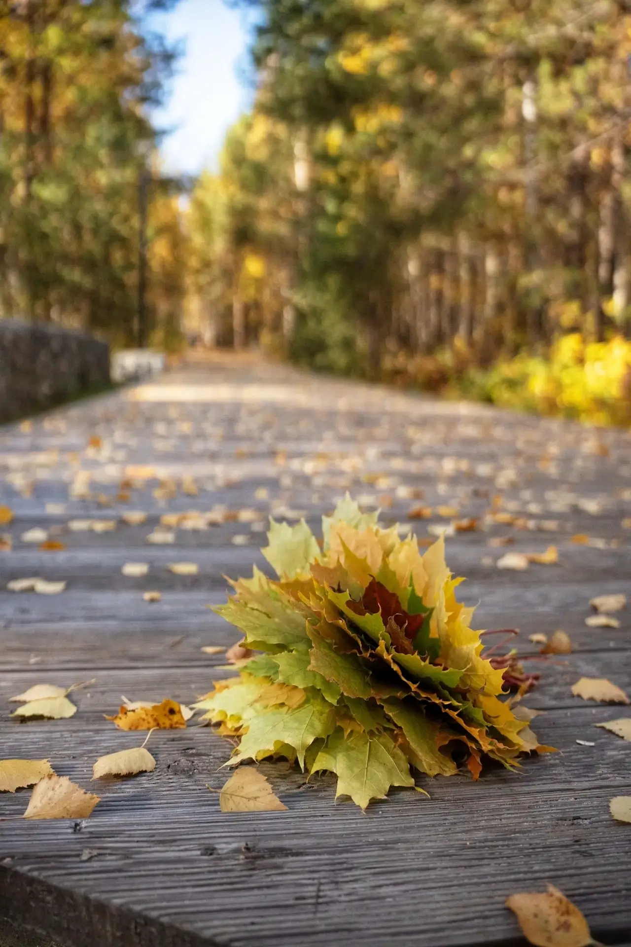 🍁С добрым утром! Пусть понедельник задаст ритм всей неделе — лёгкий, бодрый и успешный!