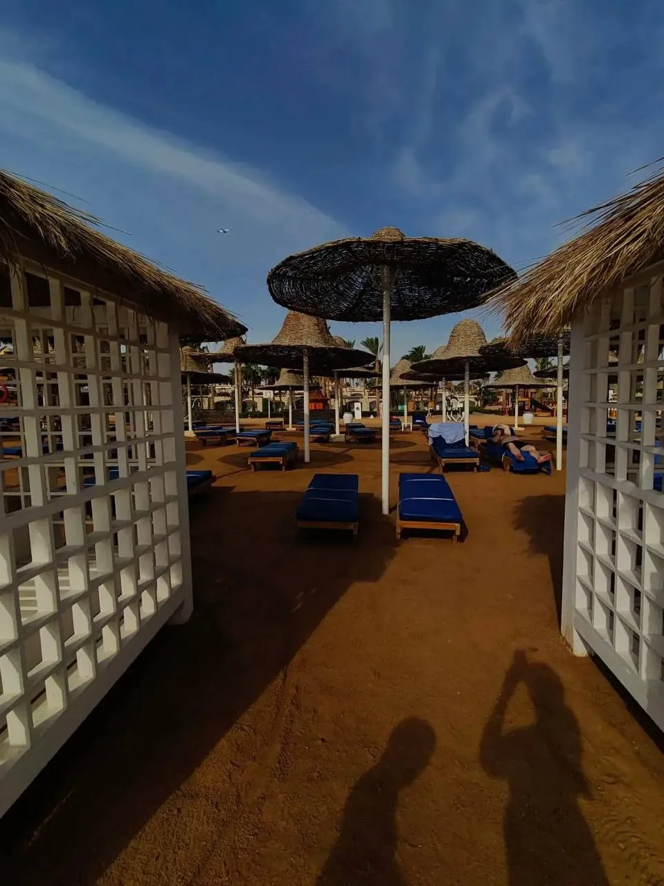 🌴 Два настроения в одной сети Parrotel: море или горки? 😎