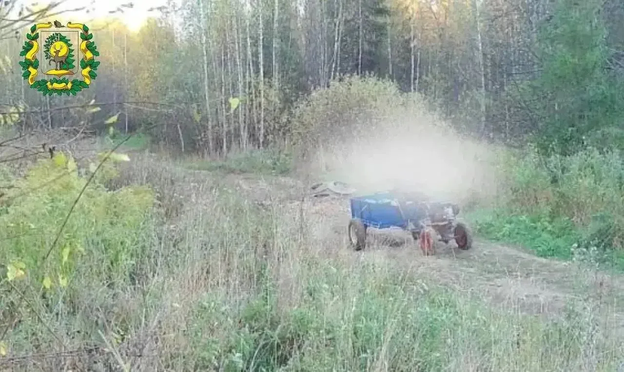 🌳 В Тоншаевском районе фотоловушка сняла выброс мусора в лесу
