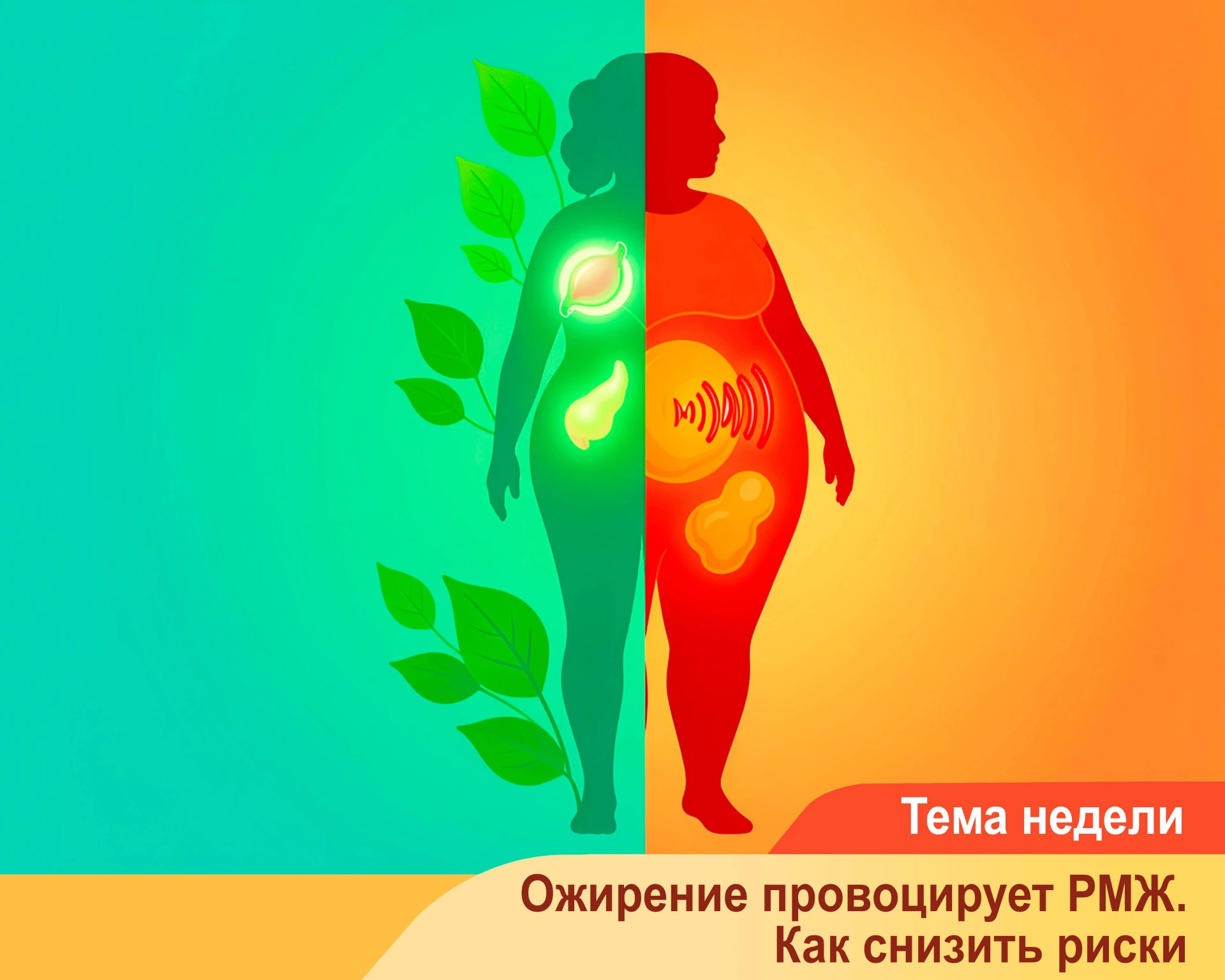 Избыточный вес и ожирение — не только эстетическая проблема. Они увеличивают риск разви...